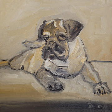 Pug